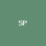 SpaceX (bStocks Tokenized Stoc